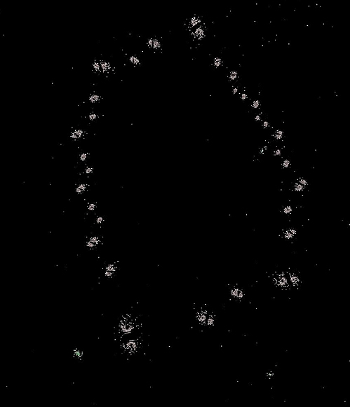 Fractal Galaxy Cluster